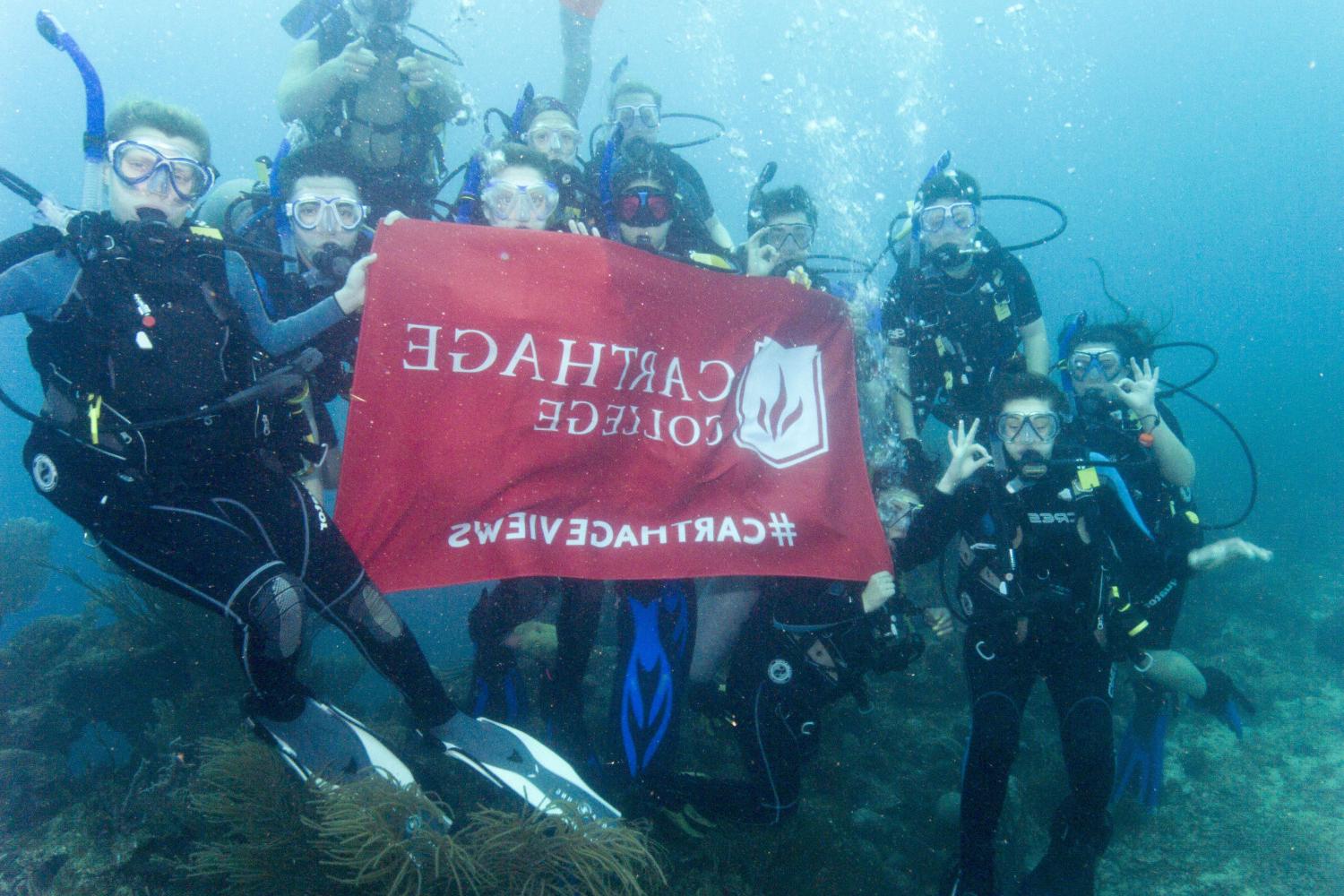 学生们手持<a href='http://mf.tianjingkeji.com'>bv伟德ios下载</a>旗帜，在j学期洪都拉斯游学之旅中潜水.